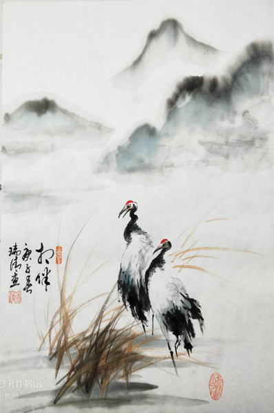  Q 괺宋